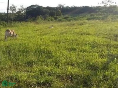 /international/py/cesar-barriento-ybucui-ybycui-paraguari-paraguari-310101058138/