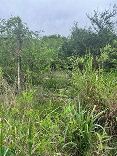 /international/py/urbanizacion-surubi-i-2-s-n-limpio-central-limpio-central-department-310107445862/