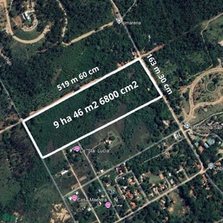 /international/py/ciervo-cua-s-n-san-bernardino-cordillera-san-bernardino-cordillera-department-310101247214/?lang=de