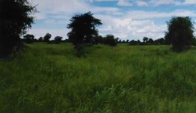 /international/py/agua-dulce-agua-dulce-alto-paraguay-department-310107089333/