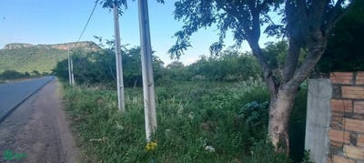 /international/py/jose-felix-estigarribia-s-n-paraguari-paraguari-paraguari-paraguari-310106690473/