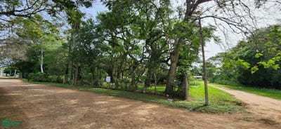 /international/py/urbanizacion-puerta-del-lago-avda-central-a-100-metros-de-la-ruta-naumann-san-bernardino-cordillera-san-bernardino-cordillera-department-310098611608/?lang=pt