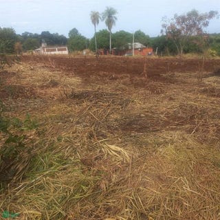 /international/py/san-juan-del-parana-s-n-san-juan-del-parana-itapua-san-juan-del-parana-itapua-department-310108374148/