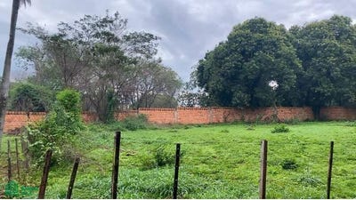 /international/py/humaita-esquina-paraiso-villa-elisa-s-n-villa-elisa-central-villa-elisa-central-department-310101246432/?lang=pt