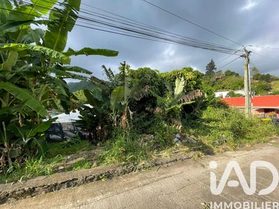 /international/re/entre-deux-saint-pierre-310107244940/
