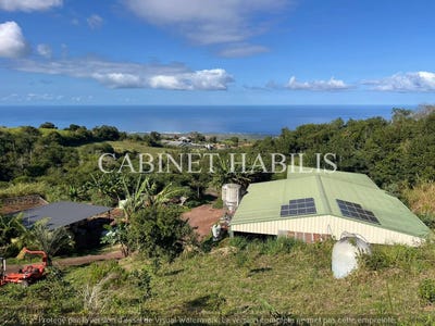 /international/re/les-avirons-saint-paul-310108703930/