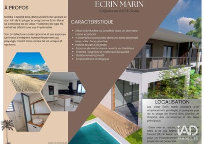 /international/re/grand-bois-saint-pierre-310104860551/