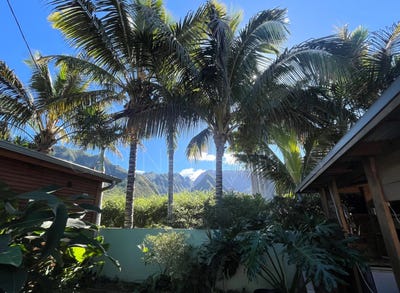 /international/re/entre-deux-saint-pierre-310109048560/