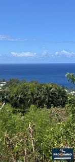 /international/re/saint-joseph-saint-pierre-310105824570/