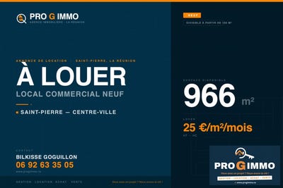 /international/re/saint-pierre-saint-pierre-310108673904/