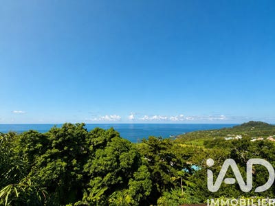 /international/re/saint-joseph-saint-pierre-310107641691/