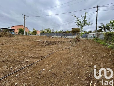 /international/re/le-tampon-saint-pierre-310102566413/