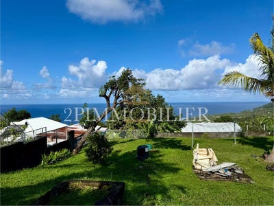 /international/re/saint-joseph-saint-pierre-310102866083/