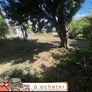 /international/re/saint-denis-saint-denis-310105998568/