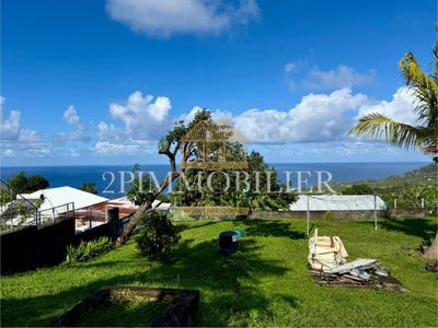 /international/re/saint-joseph-saint-pierre-310102866083/