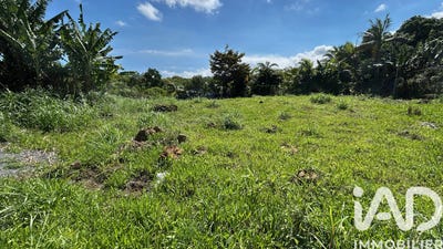 /international/re/petite-ile-saint-pierre-310107290751/