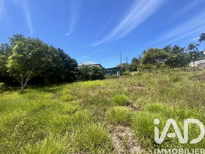 /international/re/saint-pierre-saint-pierre-310103086691/