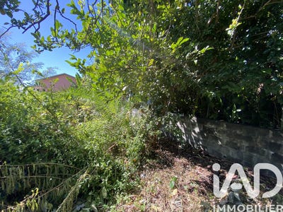 /international/re/saint-benoit-arrondissement-of-saint-benoit-310108261079/