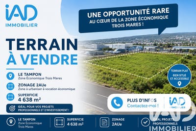 /international/re/le-tampon-saint-pierre-310108244990/