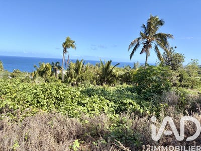 /international/re/petite-ile-saint-pierre-310108048241/