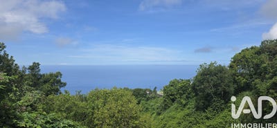 /international/re/saint-leu-saint-paul-310108893728/