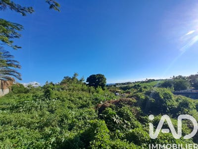 /international/re/saint-pierre-saint-pierre-310106709529/