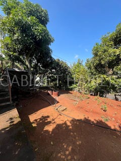 /international/re/les-avirons-saint-paul-310102163161/