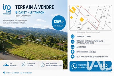 /international/re/le-tampon-saint-pierre-310108418218/