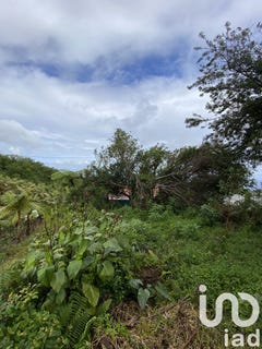 /international/re/saint-joseph-saint-pierre-310101034347/?lang=zh-cn