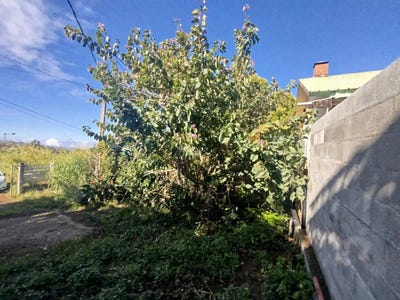 /international/re/le-tampon-saint-pierre-310101864012/