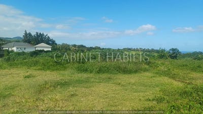 /international/re/ravine-des-cabris-reunion-310100442219/