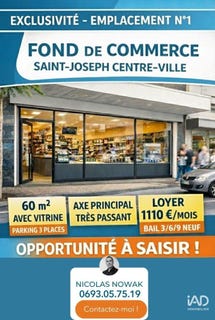 /international/re/saint-joseph-saint-pierre-310104615222/