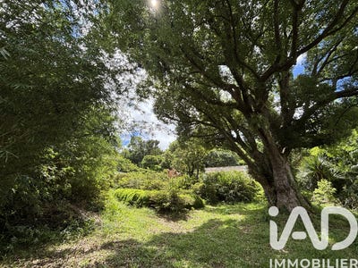 /international/re/saint-denis-saint-denis-310106132838/