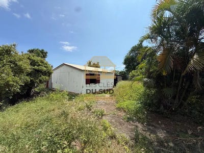 /international/re/saint-leu-saint-paul-310106288627/