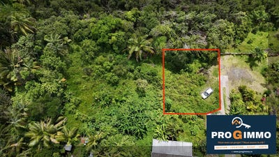 /international/re/saint-philippe-saint-pierre-310104402844/