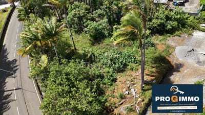 /international/re/petite-ile-saint-pierre-310104263697/