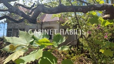 /international/re/la-plaine-des-palmistes-arrondissement-of-saint-benoit-310103062339/