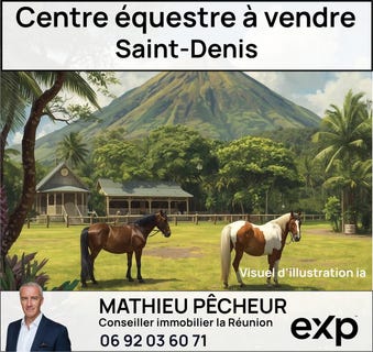 /international/re/saint-denis-saint-denis-310108596187/?lang=it