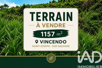 /international/re/saint-joseph-saint-pierre-310108727267/