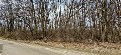 /international/ro/land-for-sale-6000-sqm-in-corbeanca-petresti-area-radarului-corbeanca-ilfov-county-310106360278/