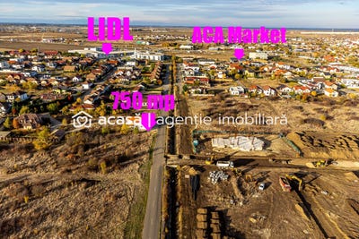 /international/ro/vladimirescu-arad-310107373352/