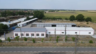 /international/ro/pecica-arad-310107411042/?lang=de