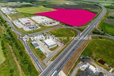 /international/ro/pecica-arad-310107373328/