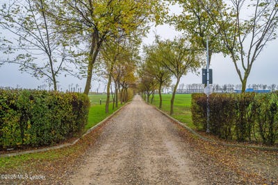 /international/ro/strada-padurii-afumati-ilfov-county-310103425363/