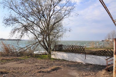 /international/ro/mamaia-constanta-310108649333/