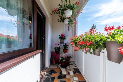 /international/ro/arad-alba-county-310108701434/