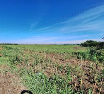 /international/ro/soseaua-focsani-braila-braila-310101105456/