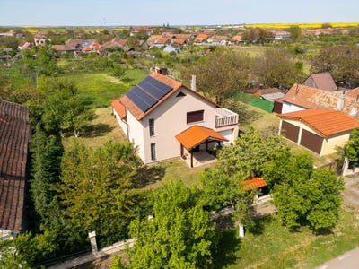 /international/ro/paulis-hunedoara-310107578409/
