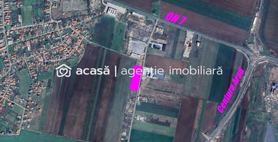 /international/ro/arad-alba-county-310107369534/