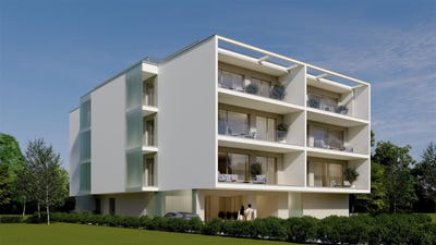 /international/ro/olimp-olimp-constanta-310108562222/